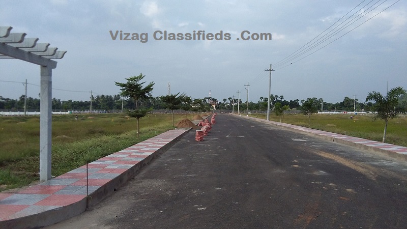 Image-4