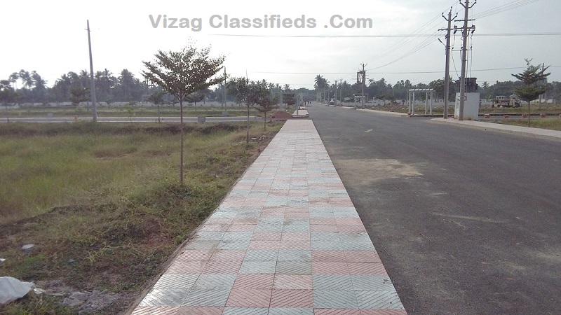 Image-8